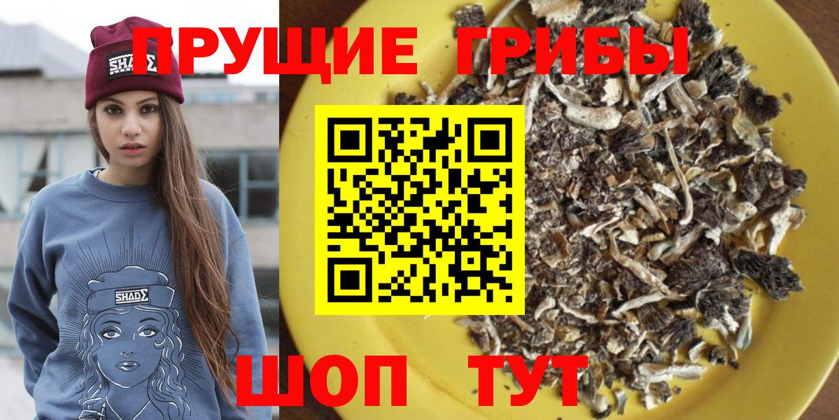 Туймазы  Галлюциногенные грибы мицелий  даркнет сайт  Вход с VPN 